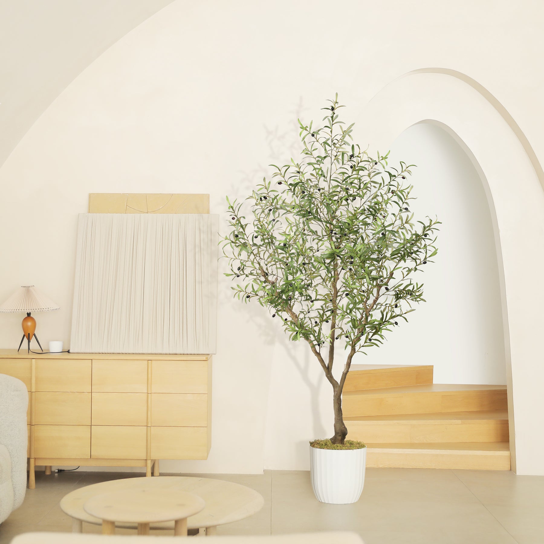 7FT Large Olive Trees Branches